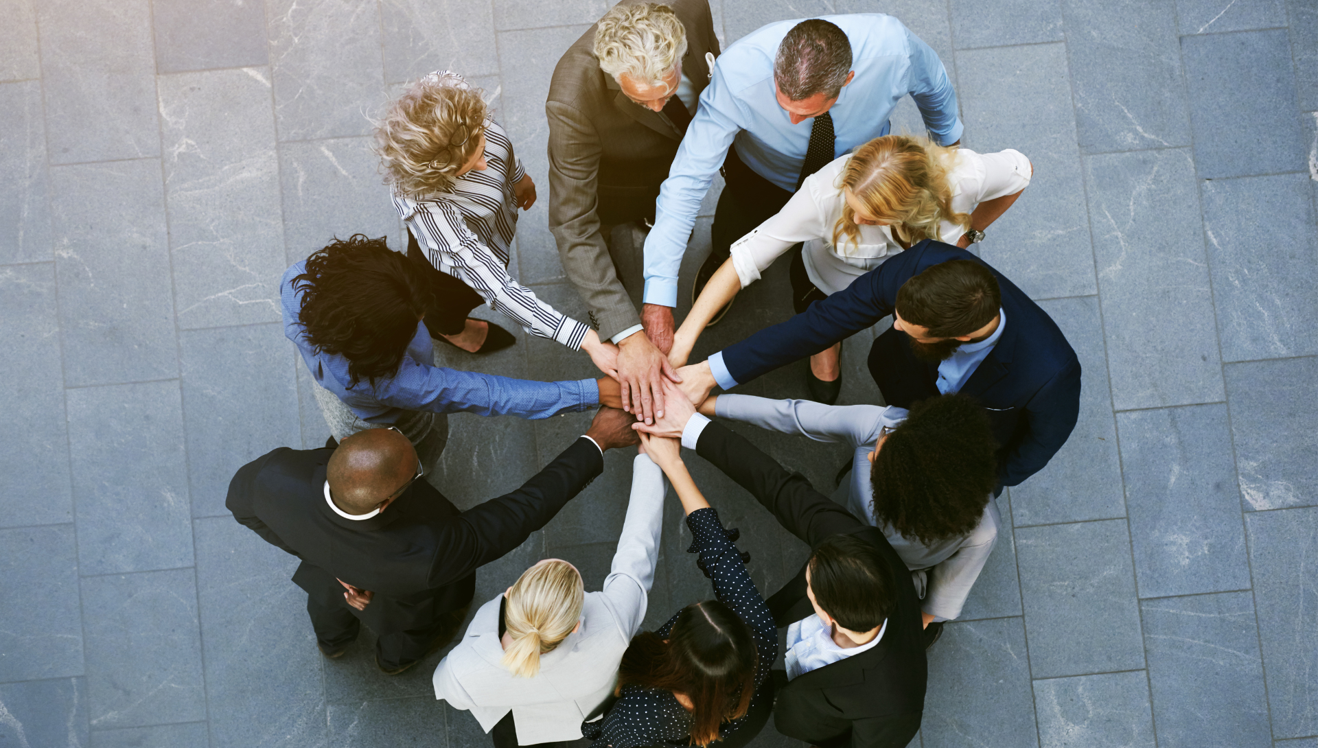 stagility Trevisearch