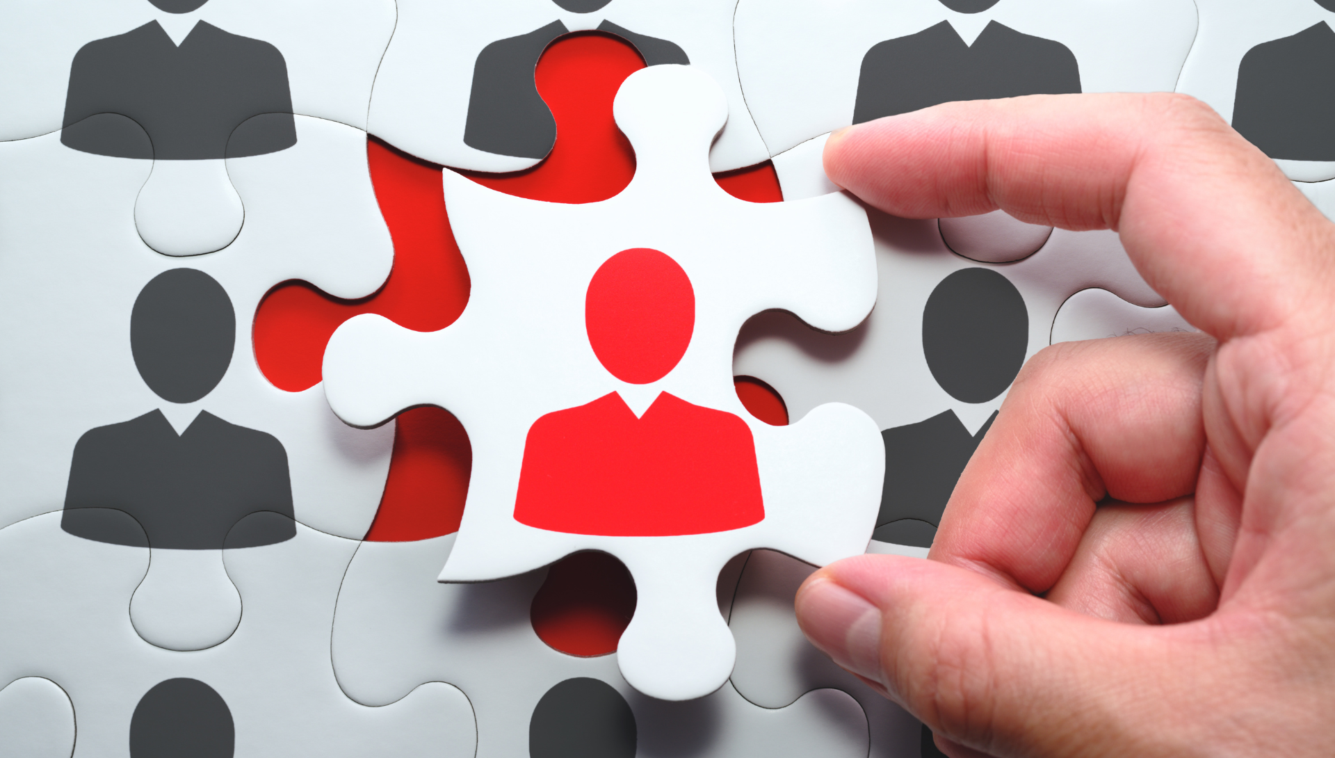 Settori lavorativi Trevisearch